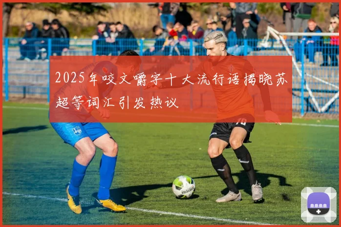 2025年咬文嚼字十大流行语揭晓苏超等词汇引发热议