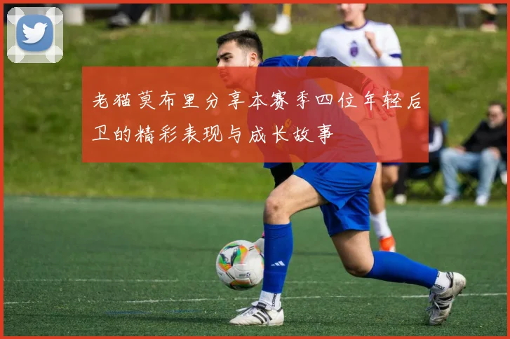 老猫莫布里分享本赛季四位年轻后卫的精彩表现与成长故事
