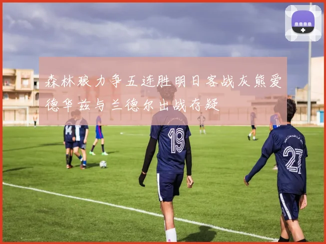 森林狼力争五连胜明日客战灰熊爱德华兹与兰德尔出战存疑