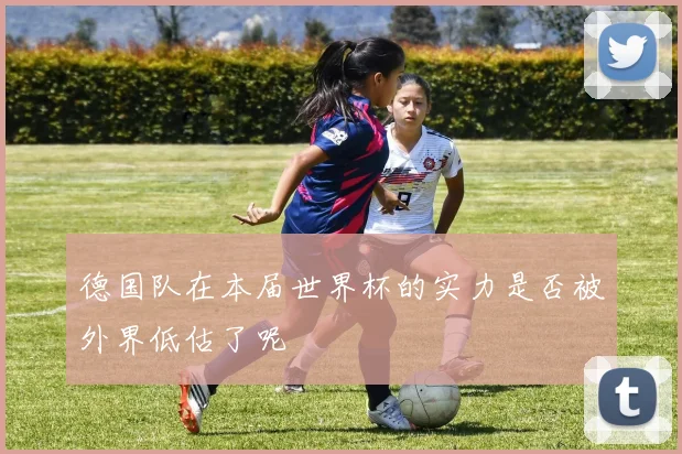 德国队在本届世界杯的实力是否被外界低估了呢