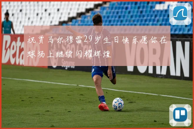 祝贾马尔穆雷29岁生日快乐愿你在球场上继续闪耀辉煌