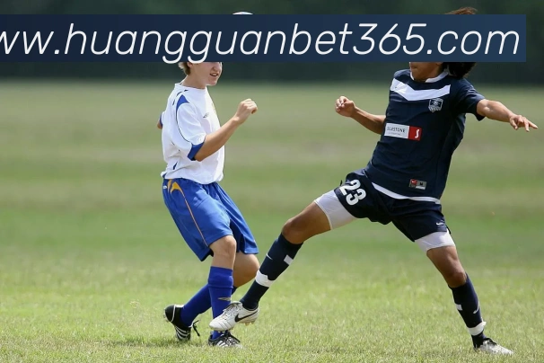 皇冠体育平台生态图